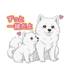 【日常】ふわふわの白い犬（個別スタンプ：26）