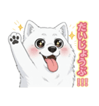 【日常】ふわふわの白い犬（個別スタンプ：27）