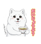 【日常】ふわふわの白い犬（個別スタンプ：28）