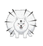 【日常】ふわふわの白い犬（個別スタンプ：29）