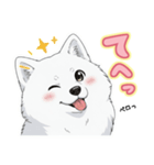 【日常】ふわふわの白い犬（個別スタンプ：30）
