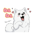 【日常】ふわふわの白い犬（個別スタンプ：32）