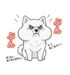 【日常】ふわふわの白い犬（個別スタンプ：33）