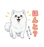【日常】ふわふわの白い犬（個別スタンプ：36）