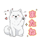 【日常】ふわふわの白い犬（個別スタンプ：37）
