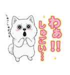 【日常】ふわふわの白い犬（個別スタンプ：40）