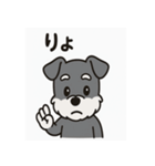 キュートなミニチュアシュナウザースタンプ（個別スタンプ：20）