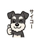 キュートなミニチュアシュナウザースタンプ（個別スタンプ：29）