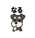 キュートなミニチュアシュナウザースタンプ（個別スタンプ：32）