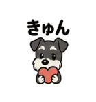 キュートなミニチュアシュナウザースタンプ（個別スタンプ：35）