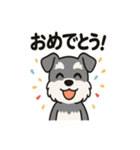 キュートなミニチュアシュナウザースタンプ（個別スタンプ：37）