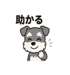 キュートなミニチュアシュナウザースタンプ（個別スタンプ：38）