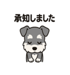 キュートなミニチュアシュナウザースタンプ（個別スタンプ：39）