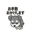 キュートなミニチュアシュナウザースタンプ（個別スタンプ：40）