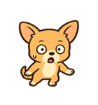 ちびチワワのドヤかわ日記@SFW（個別スタンプ：2）