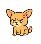 ちびチワワのドヤかわ日記@SFW（個別スタンプ：3）