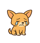 ちびチワワのドヤかわ日記@SFW（個別スタンプ：4）