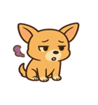 ちびチワワのドヤかわ日記@SFW（個別スタンプ：6）