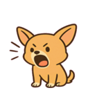 ちびチワワのドヤかわ日記@SFW（個別スタンプ：9）