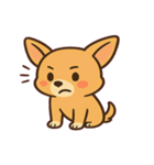 ちびチワワのドヤかわ日記@SFW（個別スタンプ：11）