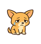 ちびチワワのドヤかわ日記@SFW（個別スタンプ：13）