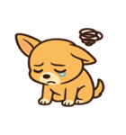ちびチワワのドヤかわ日記@SFW（個別スタンプ：14）