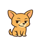 ちびチワワのドヤかわ日記@SFW（個別スタンプ：15）