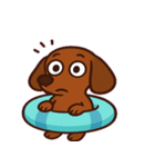 しっぽふりふりダックスくん@SFW（個別スタンプ：2）