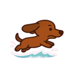 しっぽふりふりダックスくん@SFW（個別スタンプ：3）