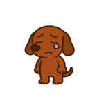しっぽふりふりダックスくん@SFW（個別スタンプ：8）