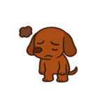 しっぽふりふりダックスくん@SFW（個別スタンプ：12）