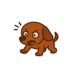 しっぽふりふりダックスくん@SFW（個別スタンプ：16）