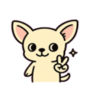 ぷるぷるチワワの感情劇場@SFW（個別スタンプ：3）