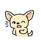 ぷるぷるチワワの感情劇場@SFW（個別スタンプ：4）