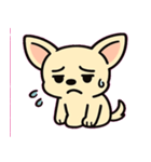 ぷるぷるチワワの感情劇場@SFW（個別スタンプ：5）