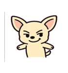ぷるぷるチワワの感情劇場@SFW（個別スタンプ：8）