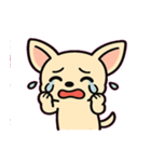 ぷるぷるチワワの感情劇場@SFW（個別スタンプ：9）
