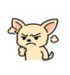 ぷるぷるチワワの感情劇場@SFW（個別スタンプ：10）