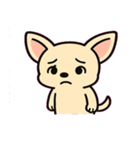 ぷるぷるチワワの感情劇場@SFW（個別スタンプ：11）