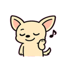 ぷるぷるチワワの感情劇場@SFW（個別スタンプ：12）