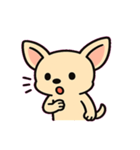 ぷるぷるチワワの感情劇場@SFW（個別スタンプ：14）