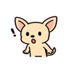 ぷるぷるチワワの感情劇場@SFW（個別スタンプ：15）