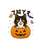 ハチワレ猫のハロウィンスタンプ（個別スタンプ：1）