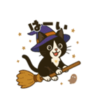 ハチワレ猫のハロウィンスタンプ（個別スタンプ：3）