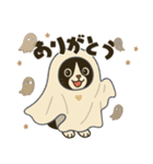 ハチワレ猫のハロウィンスタンプ（個別スタンプ：5）