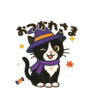 ハチワレ猫のハロウィンスタンプ（個別スタンプ：7）