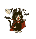 ハチワレ猫のハロウィンスタンプ（個別スタンプ：13）