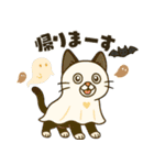 ハチワレ猫のハロウィンスタンプ（個別スタンプ：16）