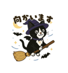 ハチワレ猫のハロウィンスタンプ（個別スタンプ：17）