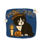 ハチワレ猫のハロウィンスタンプ（個別スタンプ：18）